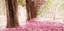 Load image into Gallery viewer, paint by numbers | Romantic Cherries | advanced landscapes | FiguredArt
