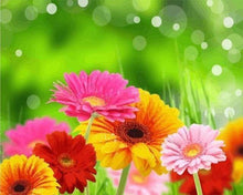 Load image into Gallery viewer, paint by numbers | Spring Flowers | flowers intermediate | FiguredArt