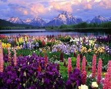 Load image into Gallery viewer, paint by numbers | Flowers and Lake near the Mountain | advanced flowers landscapes | FiguredArt