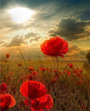 Load image into Gallery viewer, paint by numbers | Red Flowers and Sunlight | advanced flowers | FiguredArt