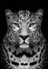 Load image into Gallery viewer, paint by numbers | Gray leopard | advanced animals leopards | FiguredArt