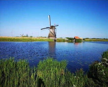 Load image into Gallery viewer, paint by numbers | Dutch Windmill | advanced landscapes | FiguredArt