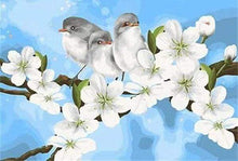 Load image into Gallery viewer, paint by numbers | Birds and White Magnolia | animals beginners birds easy flowers | FiguredArt