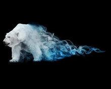 Load image into Gallery viewer, paint by numbers | Polar Force | animals bears easy | FiguredArt