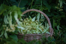 Load image into Gallery viewer, paint by numbers | Basket of Flowers | flowers intermediate | FiguredArt