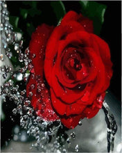 Load image into Gallery viewer, paint by numbers | Red Rose Fragrance | easy flowers | FiguredArt
