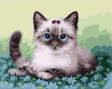 Load image into Gallery viewer, paint by numbers | Kitten and Flowers | animals cats easy | FiguredArt