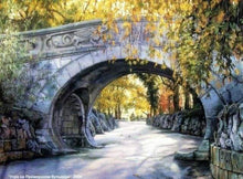 Load image into Gallery viewer, paint by numbers | Under the Bridge | advanced landscapes trees | FiguredArt