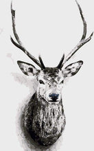 Load image into Gallery viewer, paint by numbers | Deer head Black and White | animals deer easy | FiguredArt