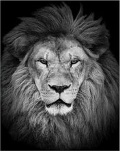 Load image into Gallery viewer, paint by numbers | Lions Head | advanced animals lions | FiguredArt