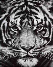 Load image into Gallery viewer, paint by numbers | Tiger Head Black And White | advanced animals tigers | FiguredArt