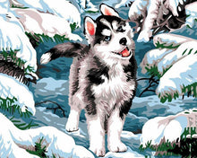 Load image into Gallery viewer, paint by numbers | siberian husky | new arrivals animals dogs winter intermediate | FiguredArt