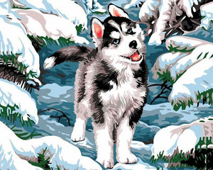 paint by numbers | siberian husky | new arrivals animals dogs winter intermediate | FiguredArt