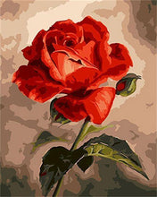 Load image into Gallery viewer, paint by numbers | beautiful red rose | new arrivals flowers easy | FiguredArt