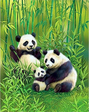 Load image into Gallery viewer, paint by numbers | family of pandas in the forest | new arrivals animals pandas advanced | FiguredArt