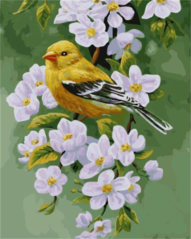 paint by numbers | bird on a flowering branch | new arrivals animals birds flowers easy | FiguredArt