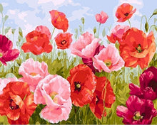 Load image into Gallery viewer, paint by numbers | common poppy | new arrivals flowers intermediate | FiguredArt