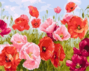 paint by numbers | common poppy | new arrivals flowers intermediate | FiguredArt