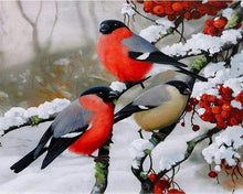 Load image into Gallery viewer, paint by numbers | european robin during winter | new arrivals animals birds winter advanced | FiguredArt