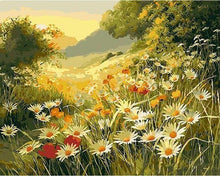 Load image into Gallery viewer, paint by numbers | marguerite daisies in the countryside | new arrivals landscapes flowers advanced | FiguredArt