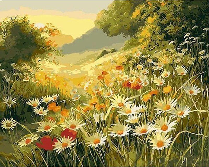 paint by numbers | marguerite daisies in the countryside | new arrivals landscapes flowers advanced | FiguredArt