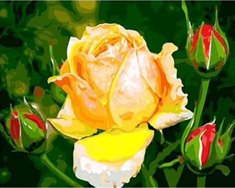 paint by numbers | yellow rosebud flower | new arrivals flowers easy | FiguredArt