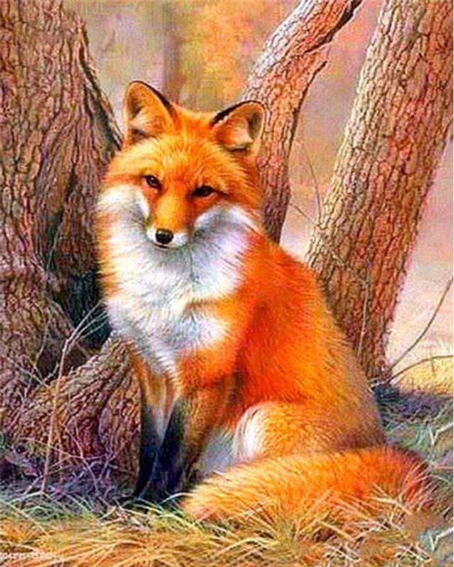 paint by numbers | peaceful fox | new arrivals animals foxes intermediate | FiguredArt