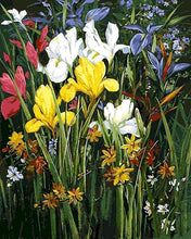 Load image into Gallery viewer, paint by numbers | colorful field of flowers | new arrivals flowers advanced | FiguredArt