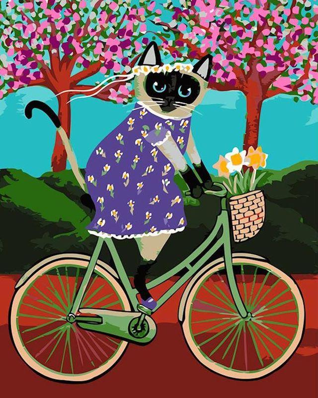 paint by numbers | black cat on the bicycle | new arrivals abstract animals cats easy | FiguredArt