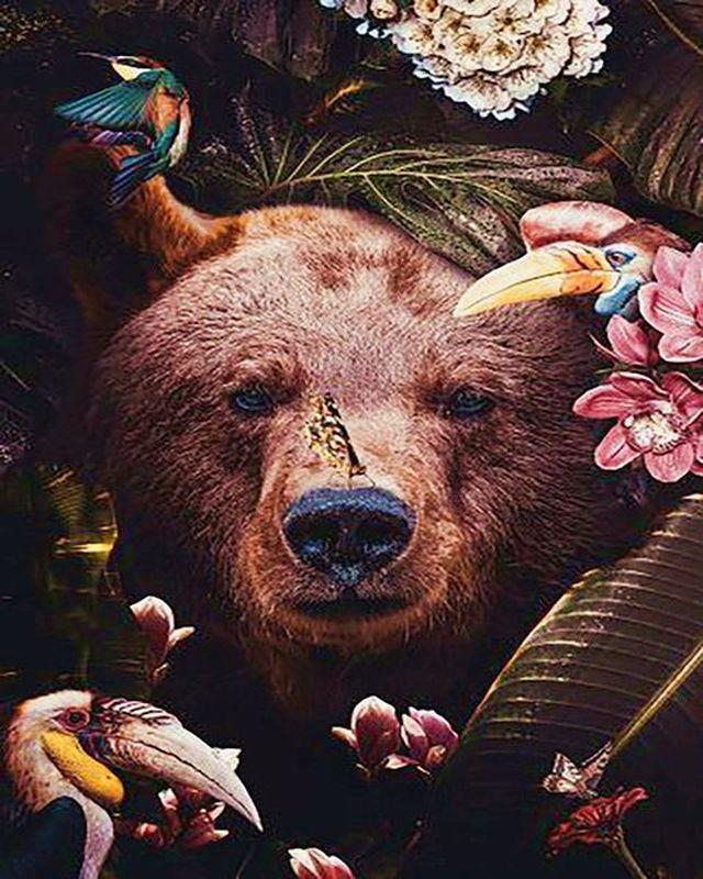 paint by numbers | bear hiding in foliage | new arrivals animals bears advanced | FiguredArt