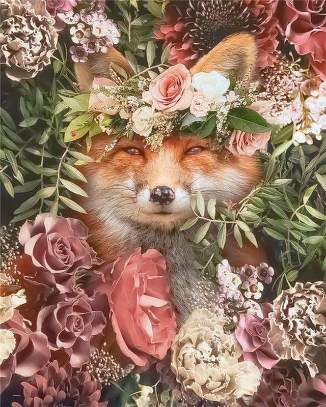 paint by numbers | fox in the flowers | new arrivals flowers animals foxes advanced | FiguredArt