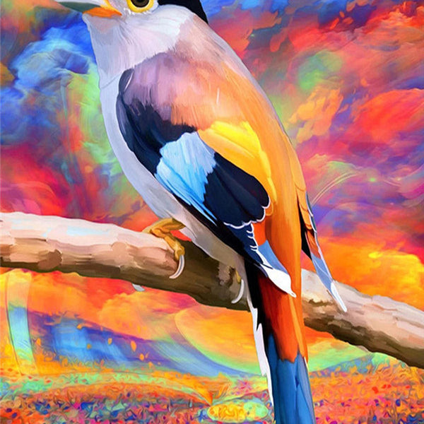 Bird and Colors