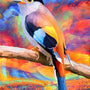 Bird and Colors