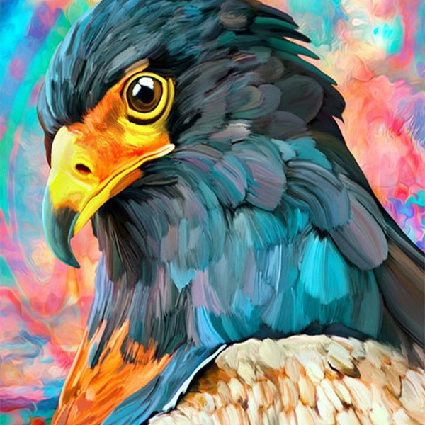 Eagle and Colors