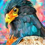 Eagle and Colors