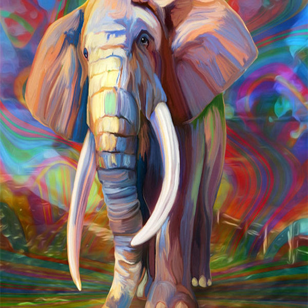 Old Solitary Elephant