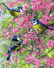 Load image into Gallery viewer, Paint by Numbers - Three birds on flowery branches