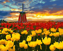 Load image into Gallery viewer, Paint by Numbers - Windmill and red and yellow tulips