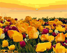 Load image into Gallery viewer, Paint by Numbers - Tulip fields