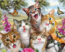 Load image into Gallery viewer, Paint by numbers | Cat family | animals cats advanced | Figured&#39;Art