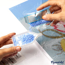 Load image into Gallery viewer, Diamond Painting Framed - Pouring Drills into Tray - Small Birds and White Flowers