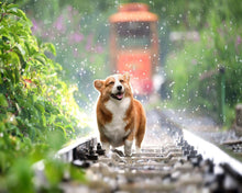 Load image into Gallery viewer, Diamond Painting - Dog on rails