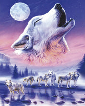 Load image into Gallery viewer, Diamond Painting - Wolf spirit