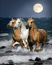 Load image into Gallery viewer, Diamond Painting - Horses at the seaside