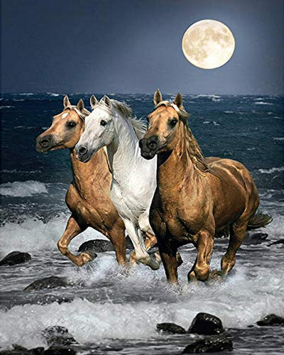 Diamond Painting - Horses at the seaside