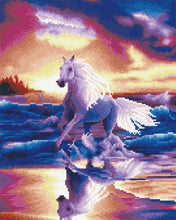 Load image into Gallery viewer, Diamond Painting - Galoping horse by the sea