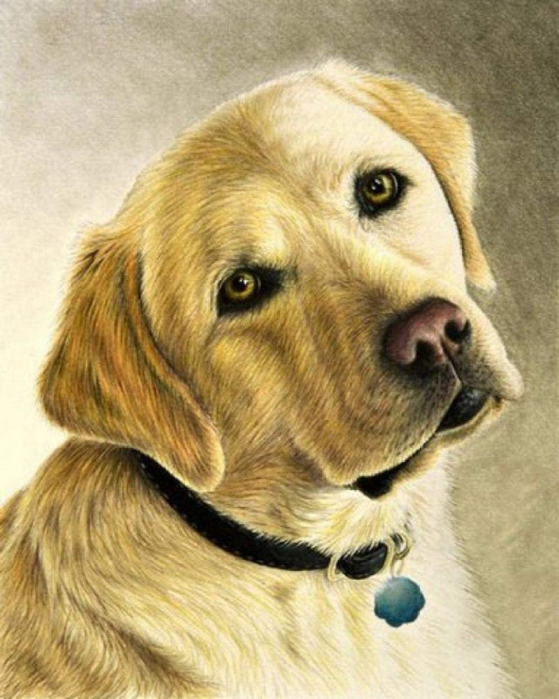 Diamond Painting - Portrait of a labrador