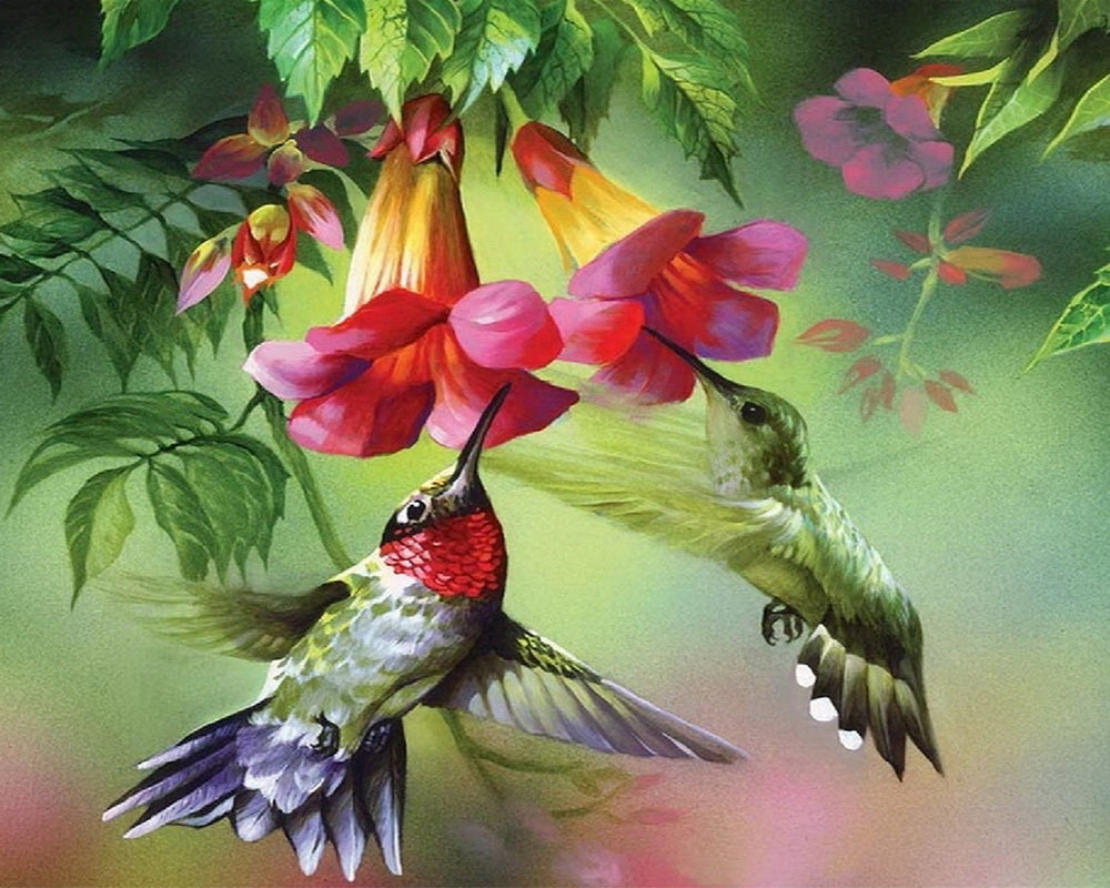 Diamond Painting - Colibris and their flowers