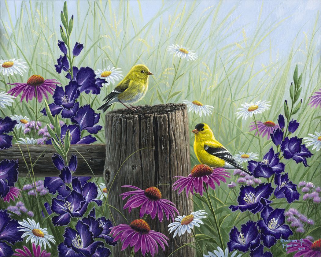 Paint by numbers - Goldfinch Birds – Figured'Art