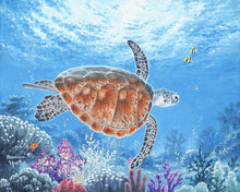 Load image into Gallery viewer, Paint by numbers Turtle Figured&#39;Art new arrivals, advanced, animals, turtles